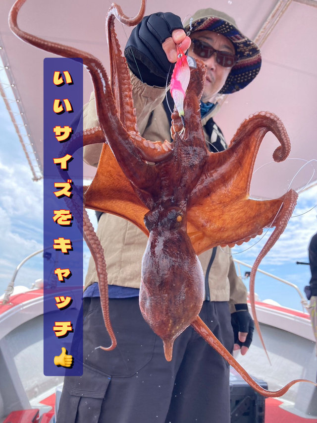 タコ(マダコ)