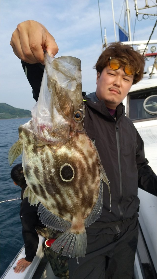 マトウダイ