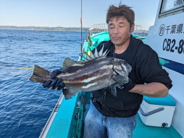 千葉県で釣れたオオクチイシナギの最新釣果、釣り情報【2024年11月】