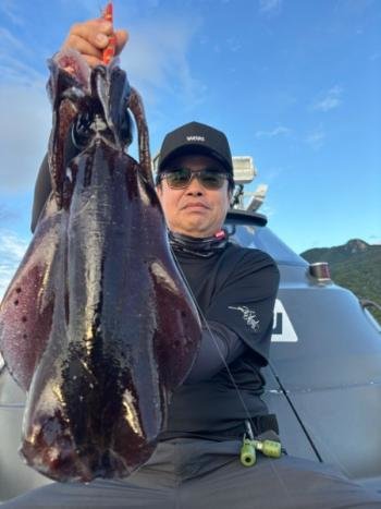 福井県で釣れたアオリイカの最新釣果、釣り情報【2024年9月】