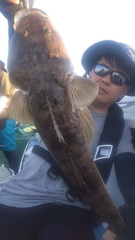 マゴチ