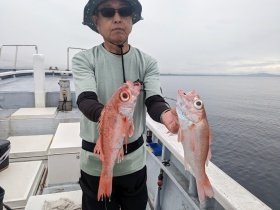 アカムツ