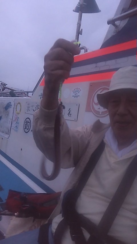 アナゴ(マアナゴ)