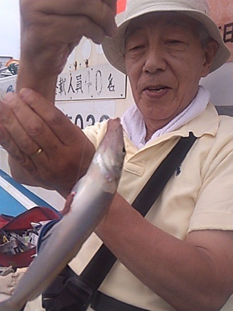 シロギス
