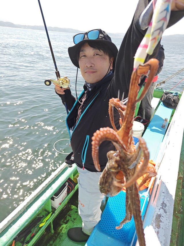 マダコ