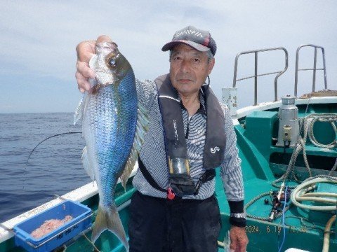 アオダイ