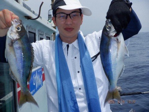 アオダイ