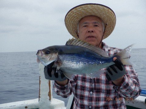 アオダイ