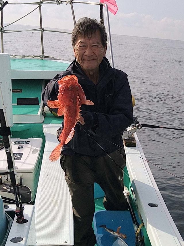 オニカサゴ