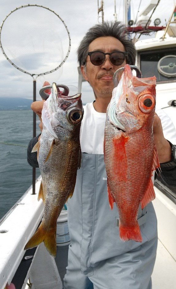 駿河湾・遠州灘（静岡県）で釣れたマダイの最新釣果、釣り情報【2024年6月】