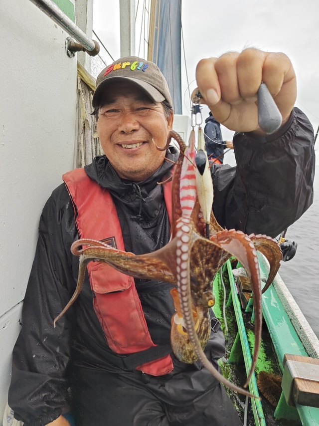 マダコ
