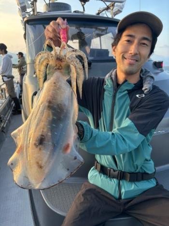 福井県産 アオリイカ19杯 3.8キロ 9/23釣行 - 魚介類