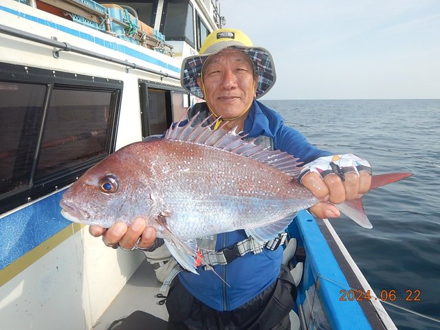 マダイ