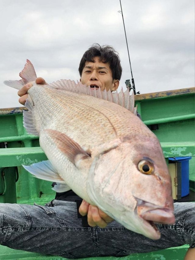 マダイ