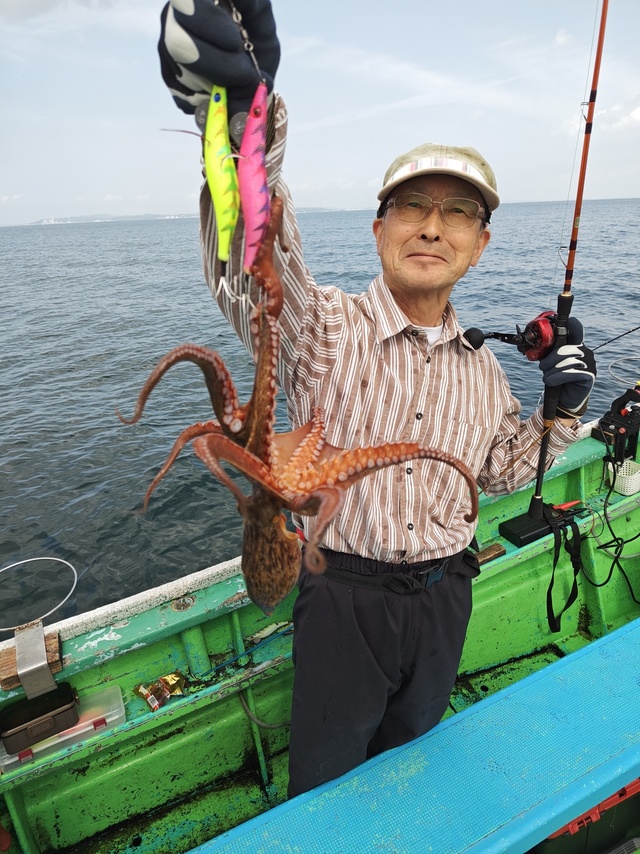 マダコ