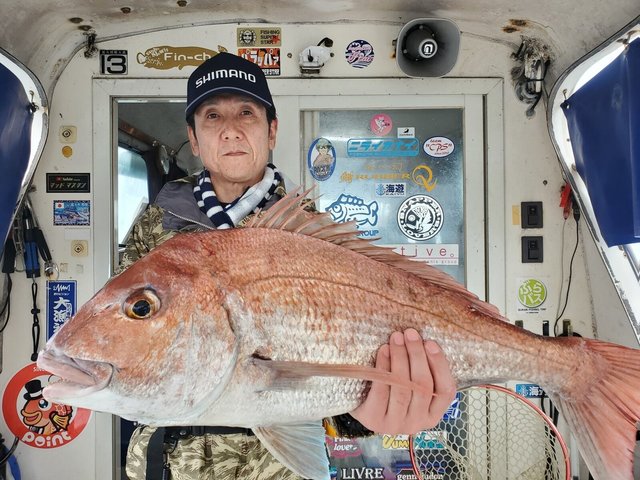 タイ(マダイ)