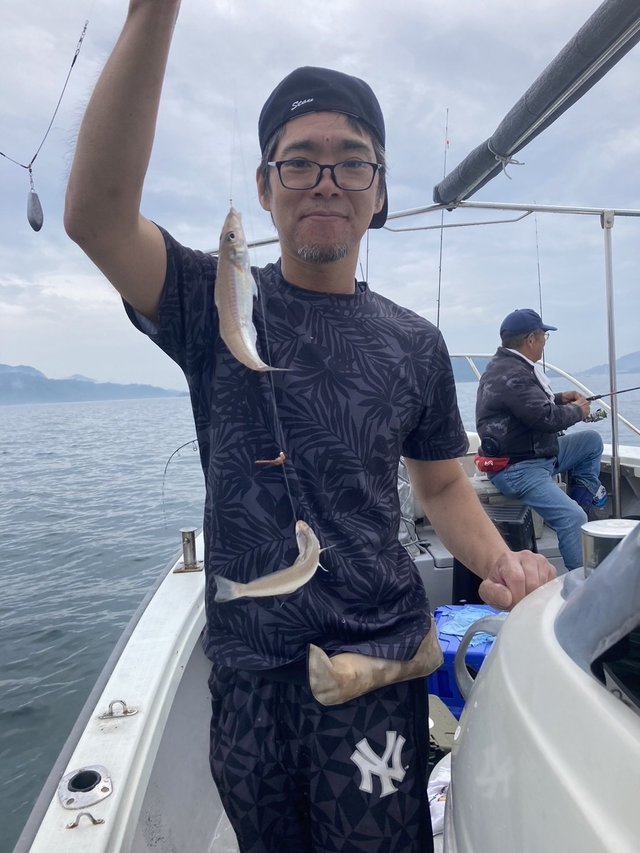 シロギス
