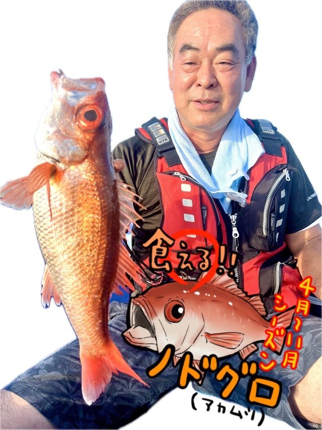 ノドクロ(アカムツ)