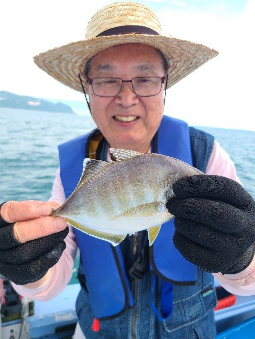 カイワリ