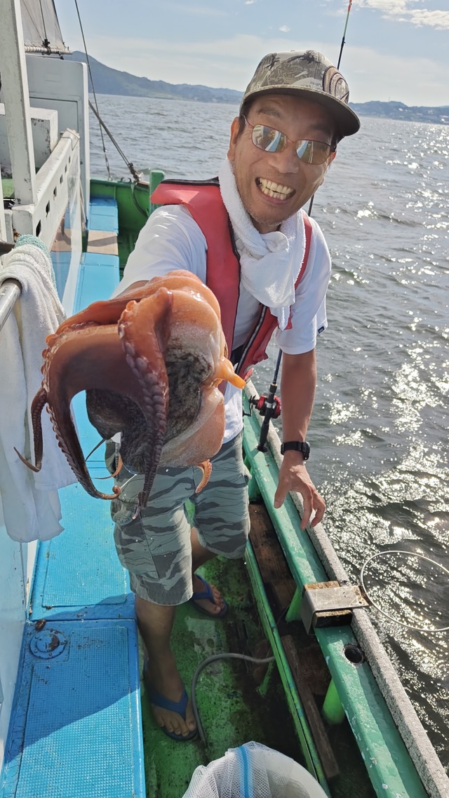 マダコ