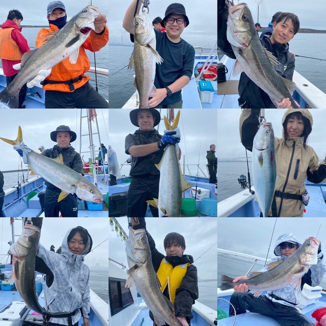 ヒラマサ