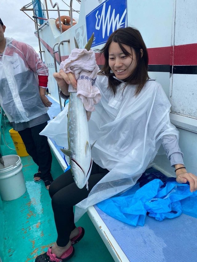ヒラマサ