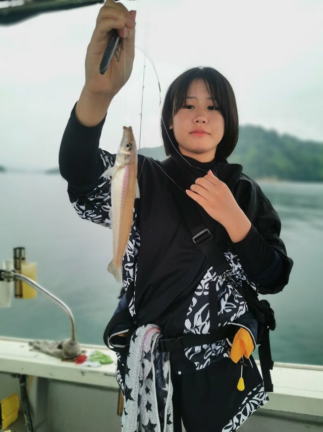 シロギス