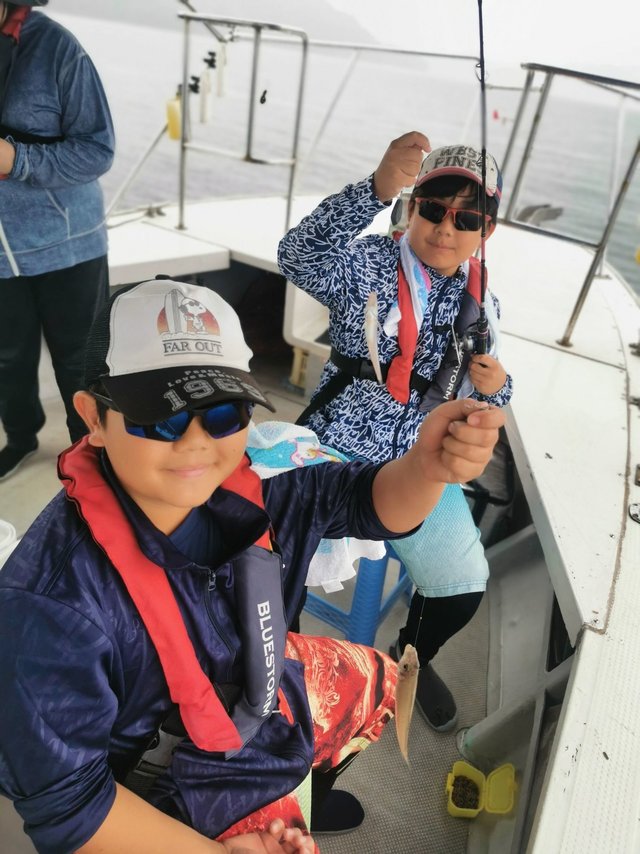シロギス