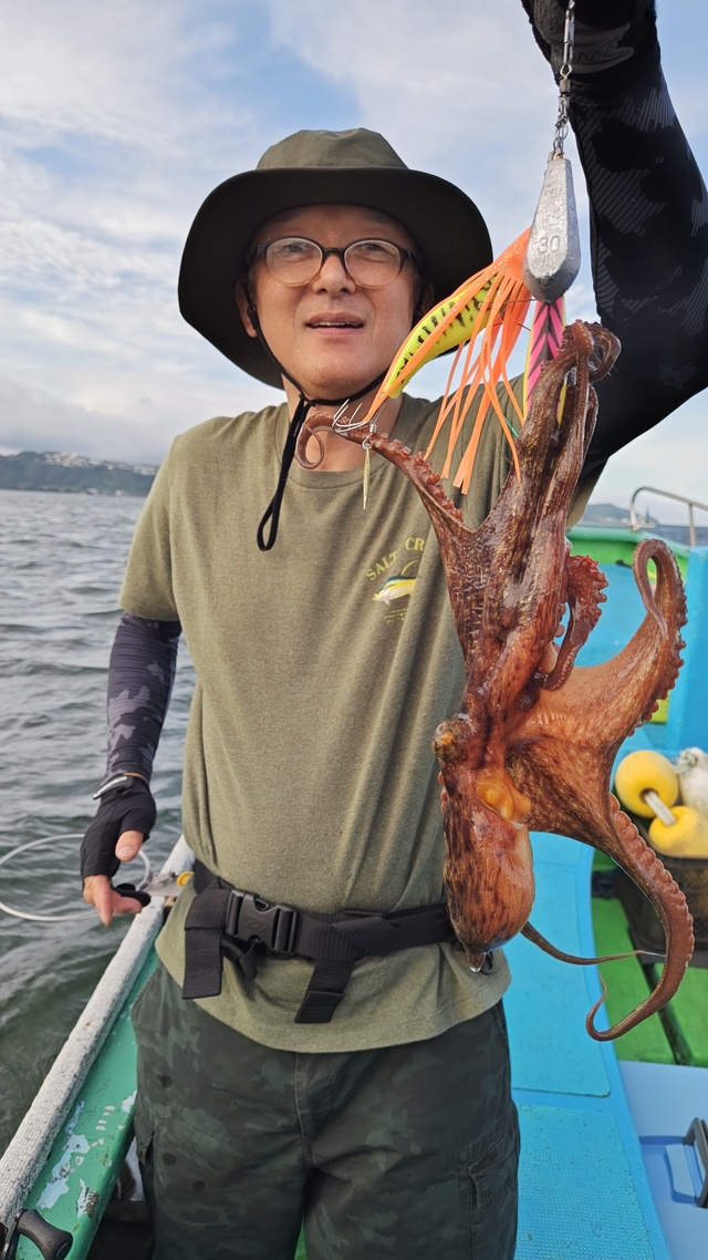 マダコ