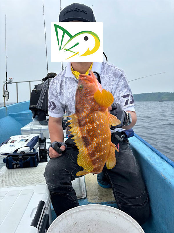 キジハタ