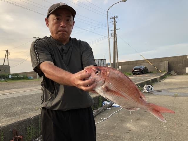 マダイ