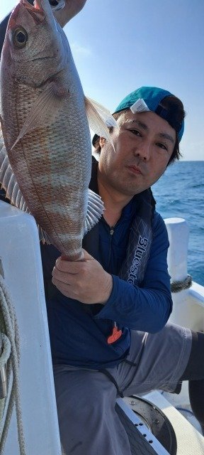 ヒメダイ