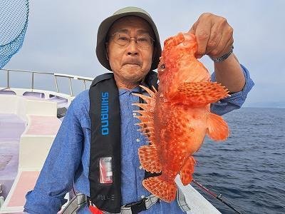 オニカサゴ