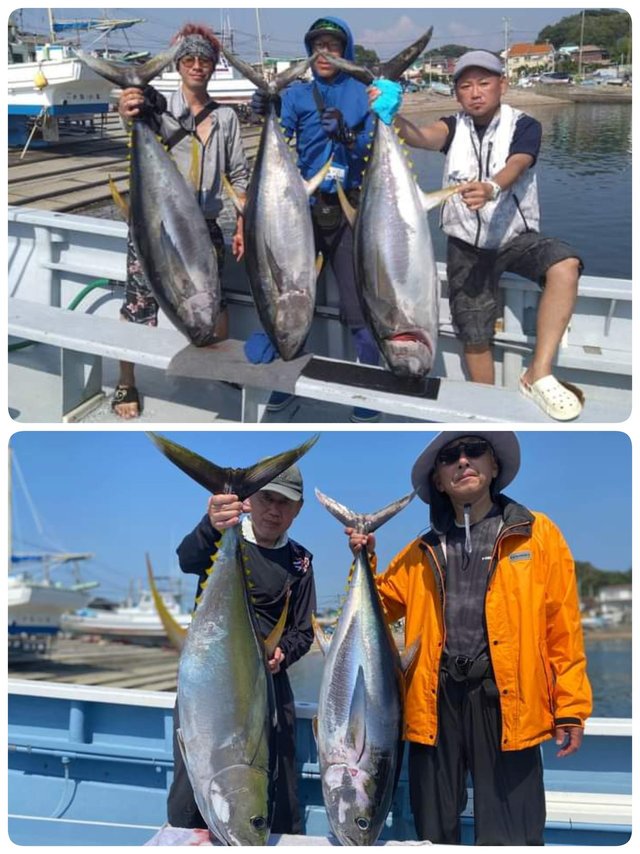 マグロ釣り他」積丹余別ボートトレーラー日帰り駐車場。4月～11月、利用料1万円！！ - キャンプ、アウトドア用品