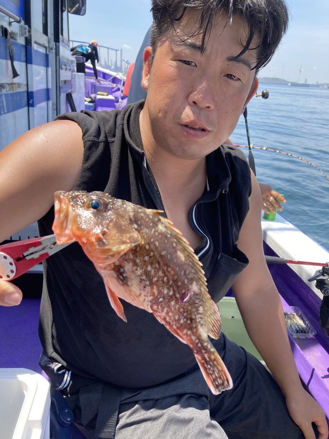 カサゴ