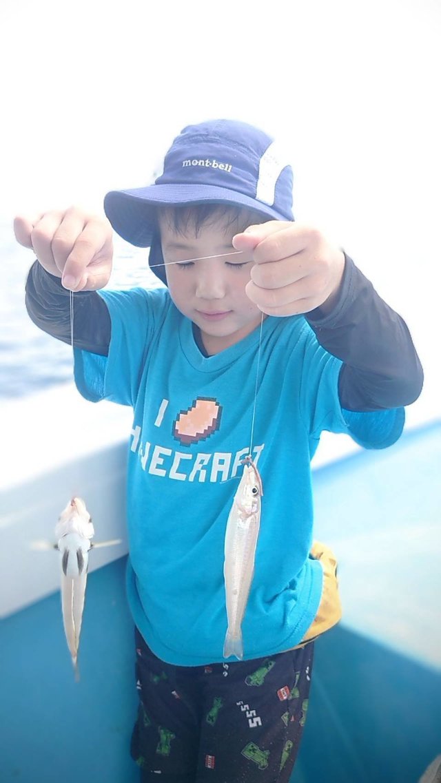 シロギス