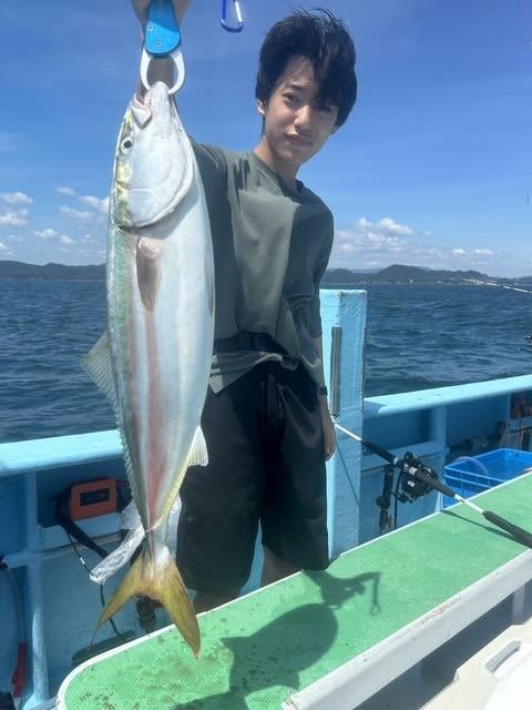 ハマチ(ブリ)