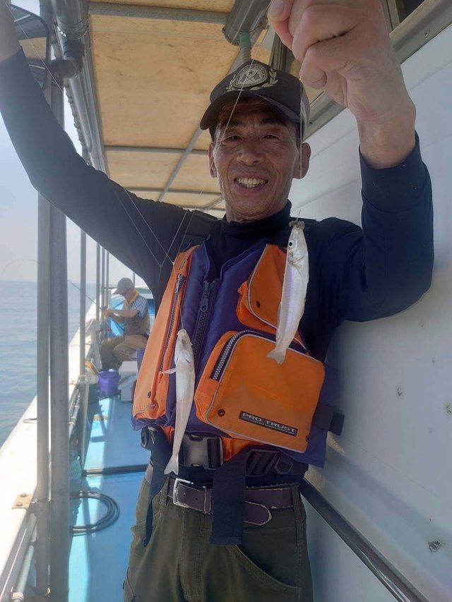 シロギス
