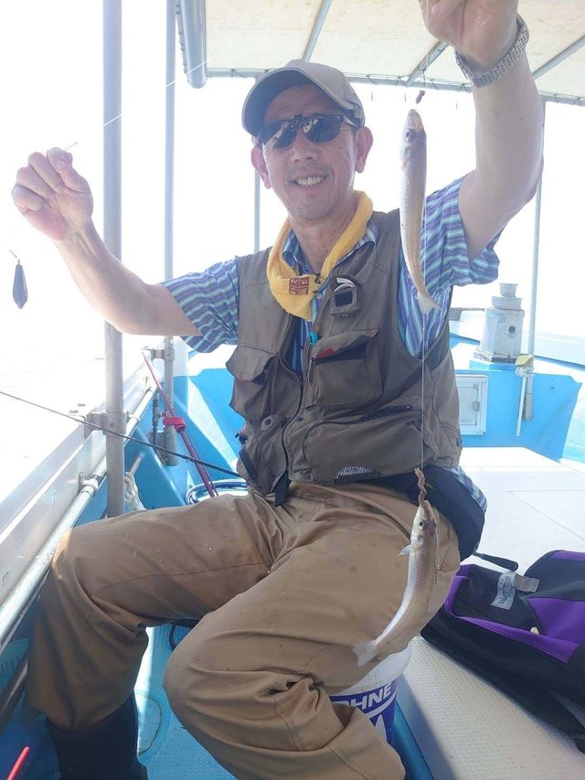 シロギス