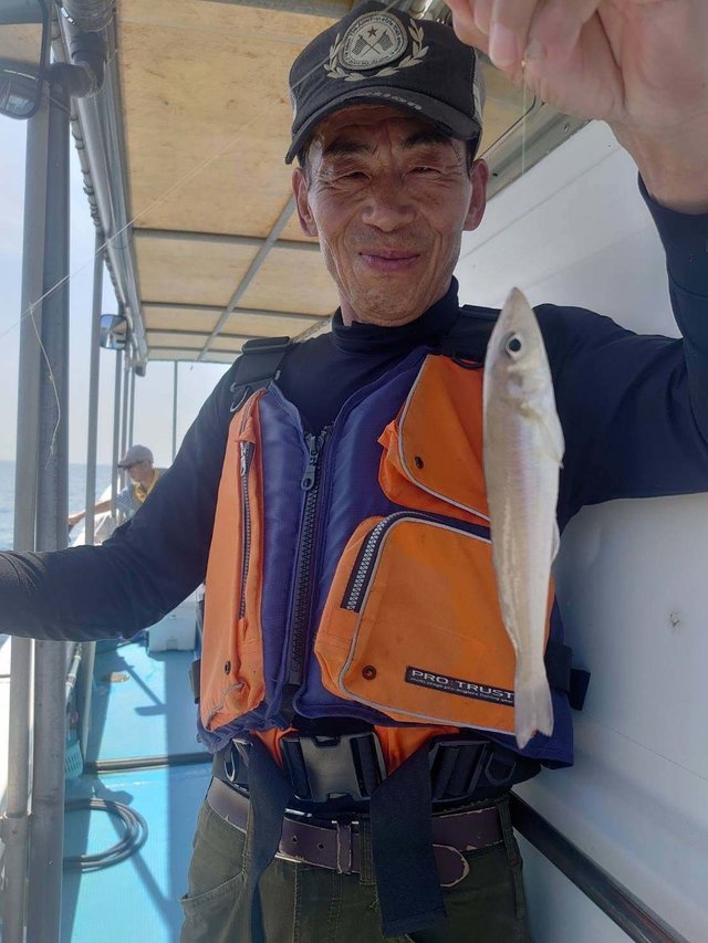シロギス