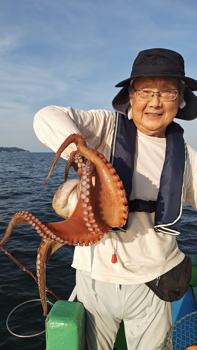 マダコ