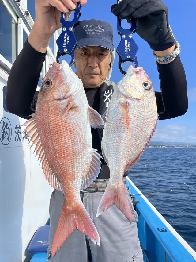 マダイ