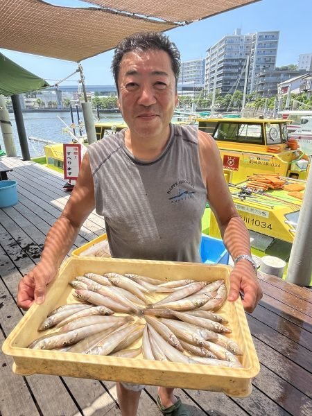 シロギス