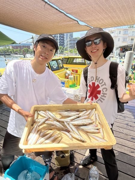 シロギス