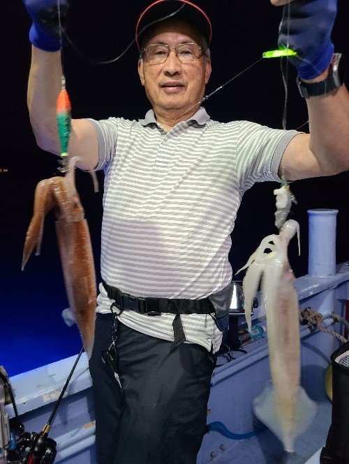 スルメイカ
