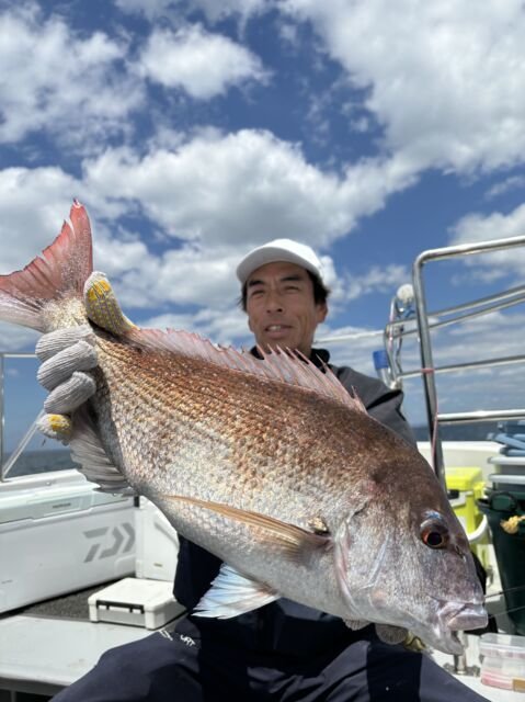 マダイ