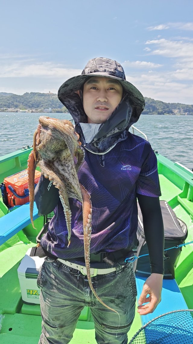 マダコ