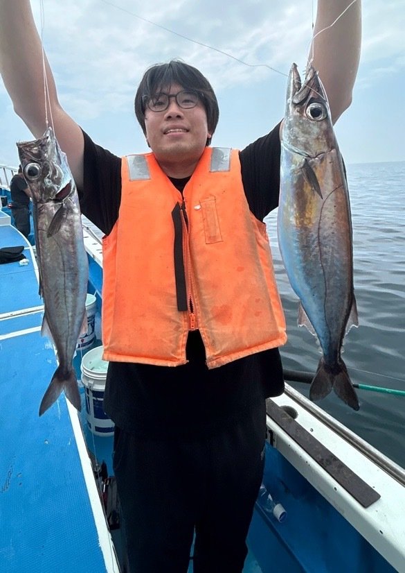 カゴカマス