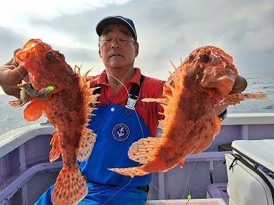 オニカサゴ