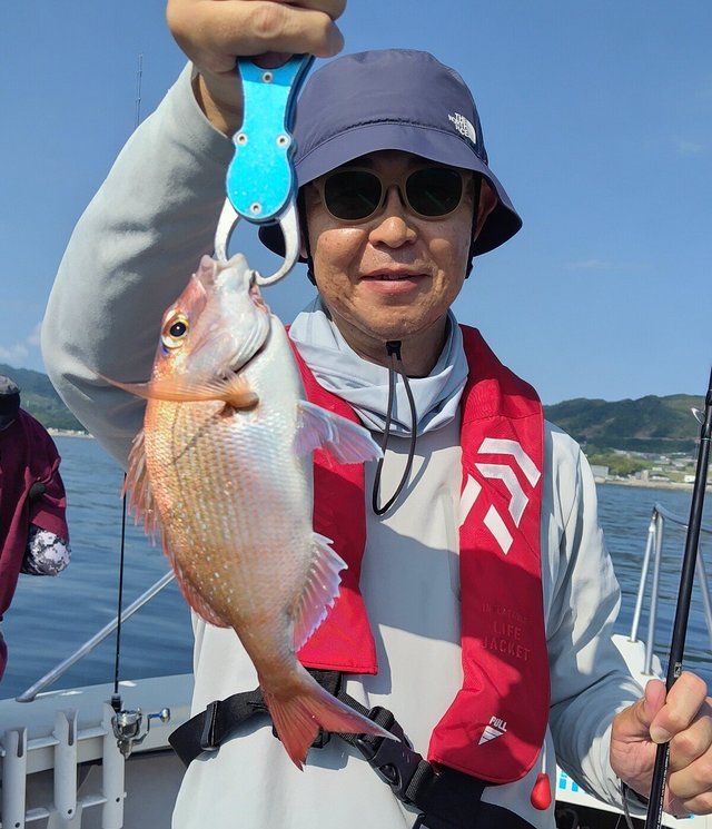 マダイ